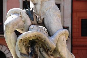 DSC_9502 (Large).JPG