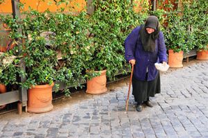 DSC_9389 (Large).JPG