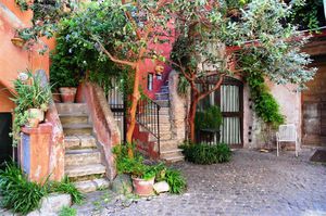 DSC_9443 (Large).JPG