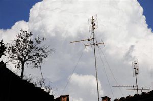 DSC_9324 (Large).JPG