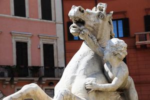 DSC_9494 (Large).JPG