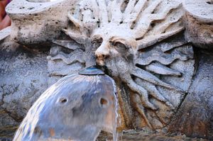 DSC_9707 (Large).JPG