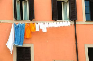 DSC_8779 (Large).JPG