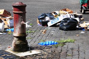 DSC_9421 (Large).JPG