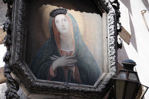 DSC_9505 (Large).JPG