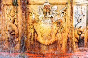 DSC_9295 (Large).JPG