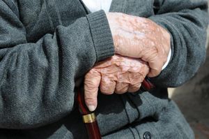 DSC_0298 (Large).JPG