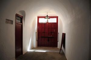 DSC_0745 (Large).JPG