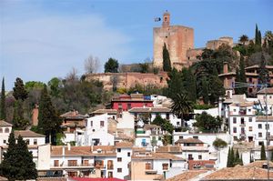 DSC_2340 (Large).JPG