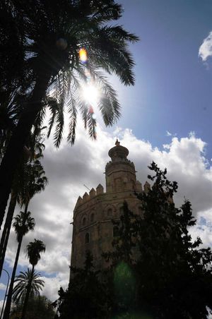 DSC_0793 (Large).JPG