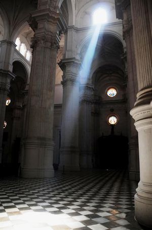 DSC_3495 (Large).JPG