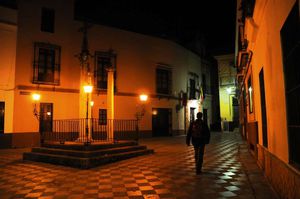 DSC_0580 (Large).JPG