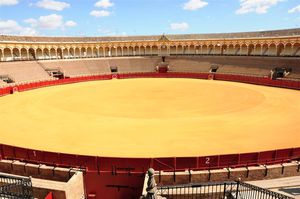 DSC_0710 (Large).JPG