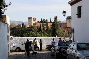 DSC_2436 (Large).JPG