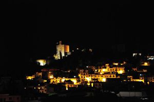 DSC_2691 (Large).JPG