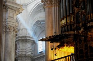 DSC_3511 (Large).JPG