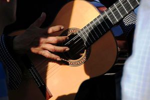 DSC_2502 (Large).JPG