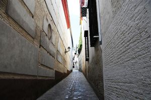 DSC_2386 (Large).JPG