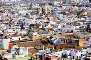 DSC_0674 (Large).JPG