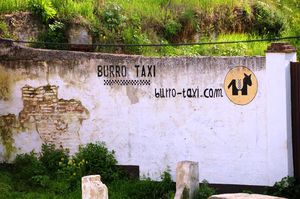 DSC_2394 (Large).JPG