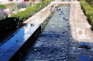 DSC_3226 (Large).JPG