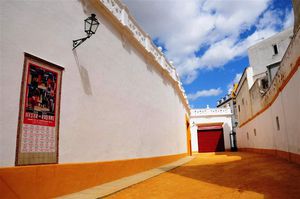 DSC_0765 (Large).JPG