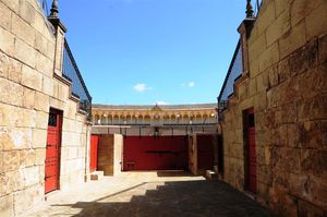 DSC_0696 (Large).JPG