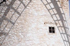 DSC_0220 (Large).JPG