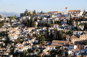 DSC_2861 (Large).JPG