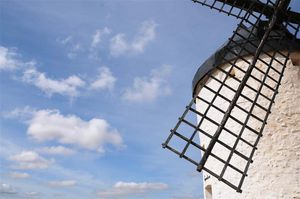 DSC_0239 (Large).JPG