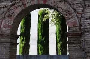 DSC_2411 (Large).JPG