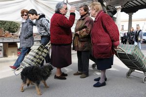 DSC_0139 (Large).JPG