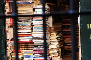 DSC_2322 (Large).JPG