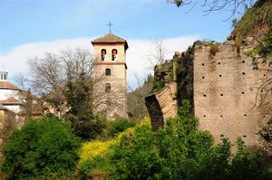 DSC_2379 (Large).JPG