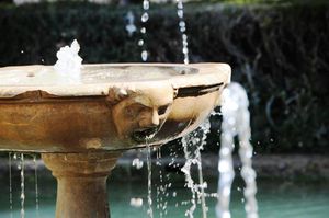 DSC_3302 (Large).JPG