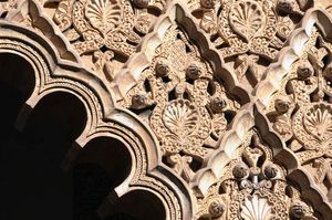 DSC_2230 (Large).JPG