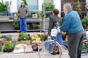 DSC_0089 (Large).JPG