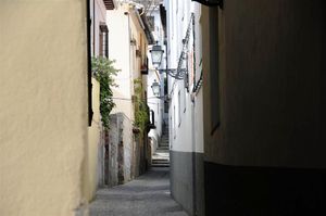 DSC_2391 (Large).JPG