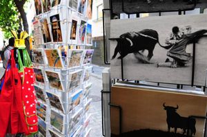 DSC_0915 (Large).JPG