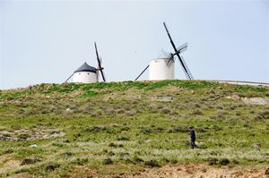 DSC_0157 (Large).JPG