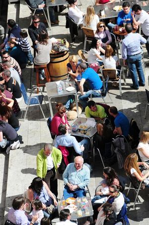 DSC_2343 (Large).JPG